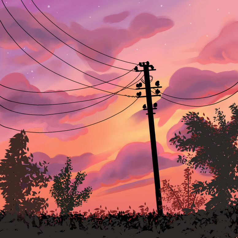 Landscape